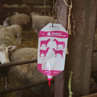 Trusti - 1 L Colostrum bag for lamb / kid / cria / foal