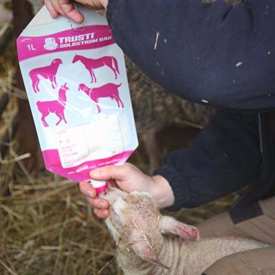 Trusti - 1 L Colostrum bag for lamb / kid / cria / foal