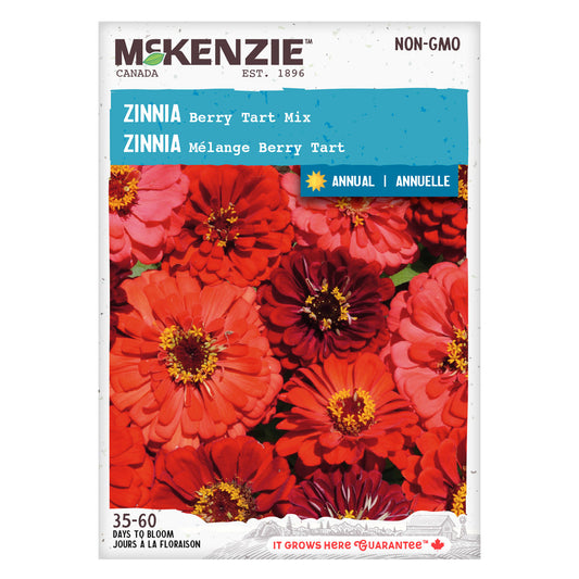 Zinnia - McKenzie