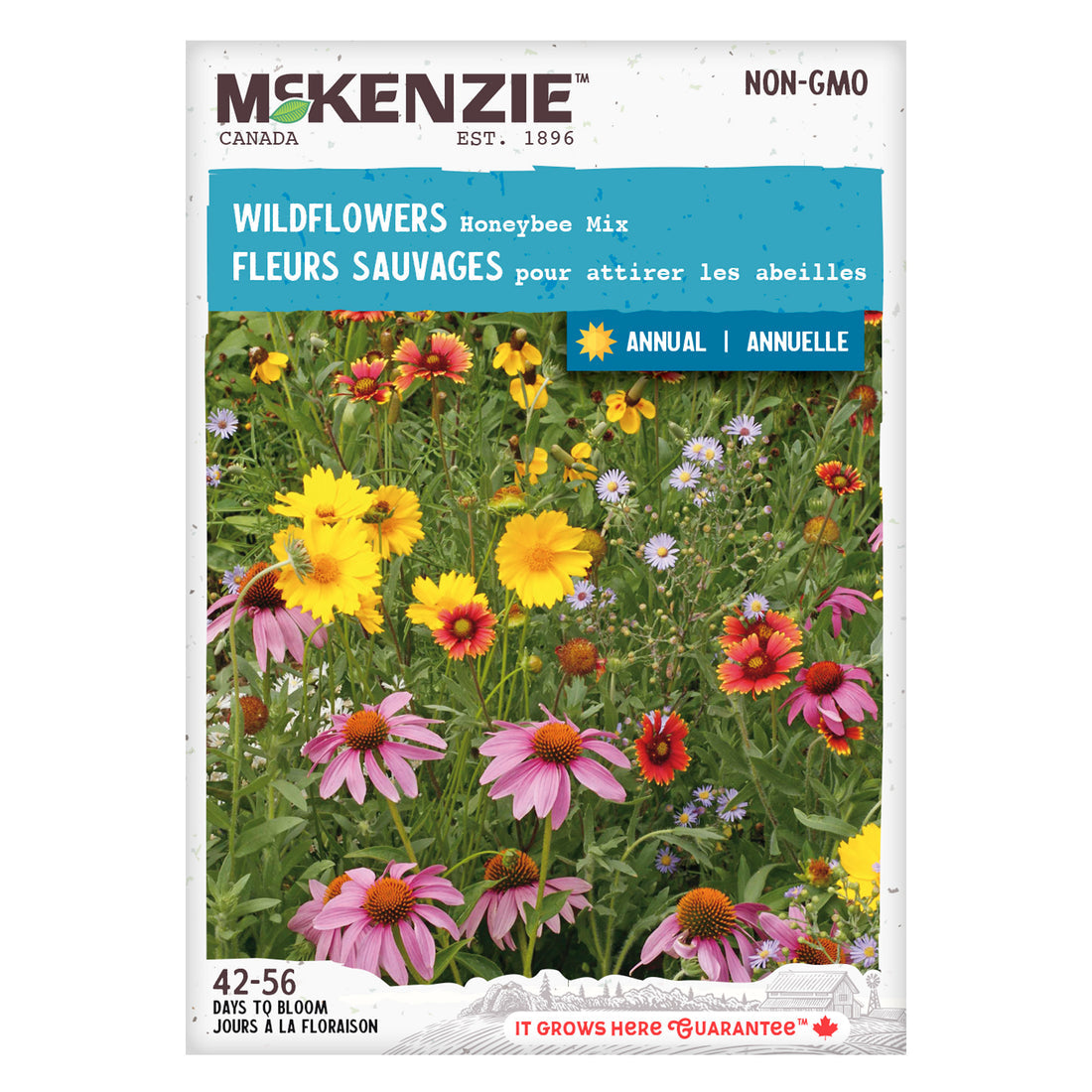 Wildflowers - McKenzie