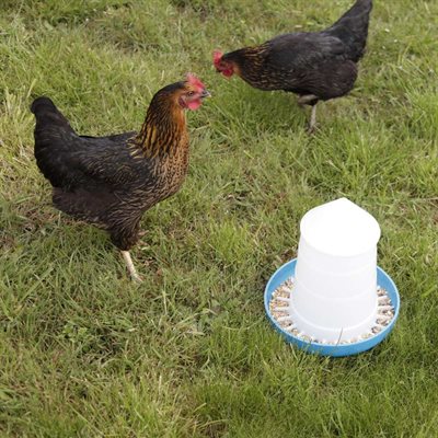 CHICK'A Poultry Feeder - "Mountain" - 5 kg